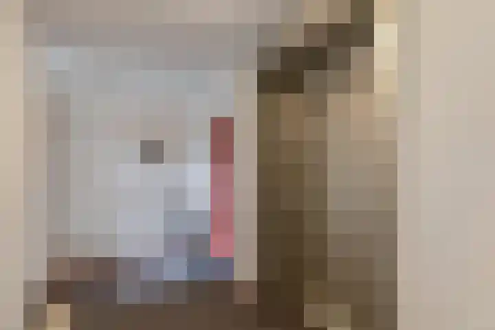 Reidingweg 20 Drachten thumbnail 8