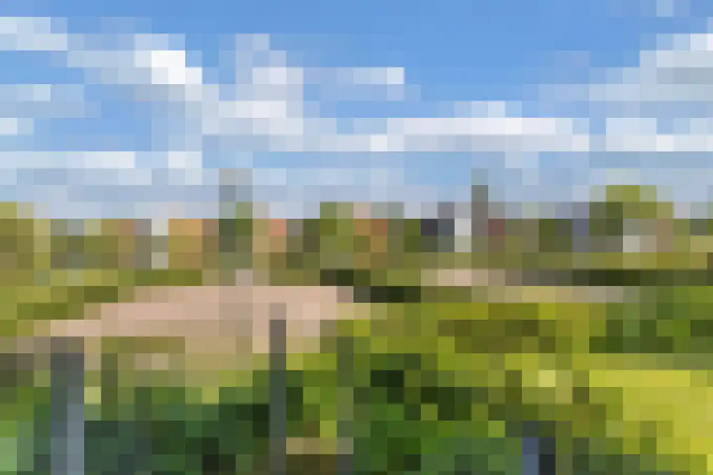Reidingweg 52 Drachten thumbnail 22
