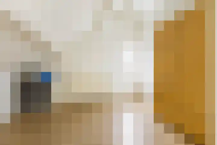 Reidkampen 7 Zuidhorn thumbnail 34