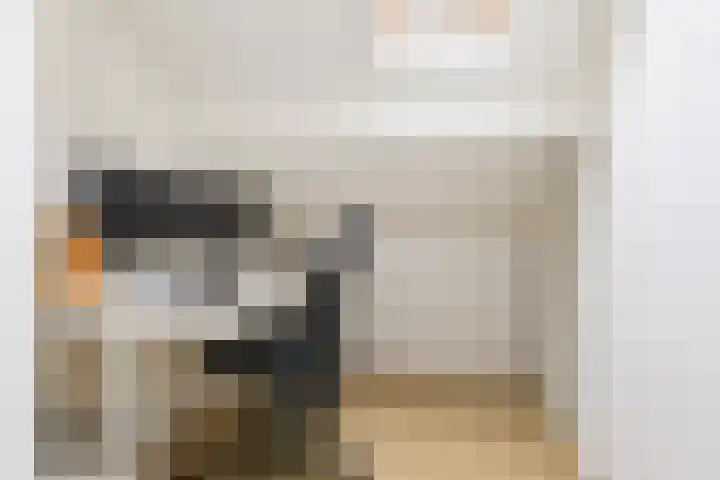 Reidkampen 7 Zuidhorn thumbnail 36