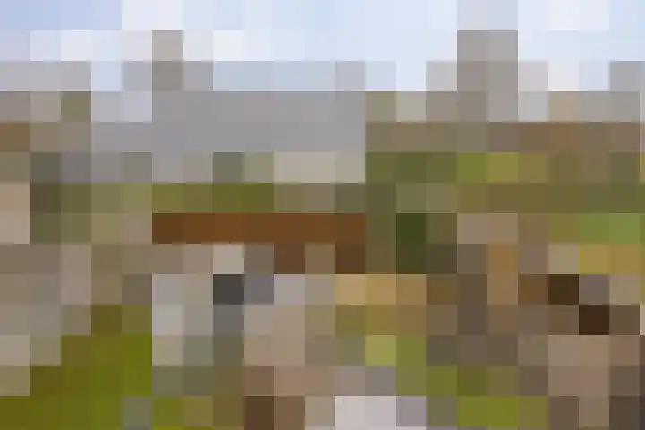 Reidkampen 7 Zuidhorn thumbnail 37