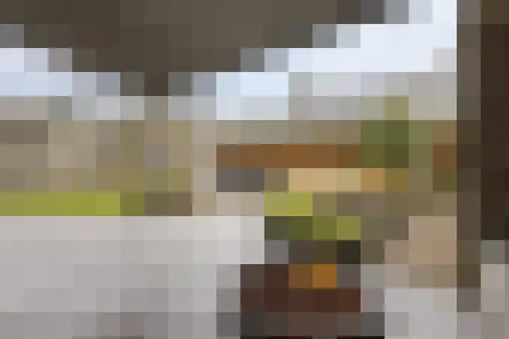Reidkampen 7 Zuidhorn thumbnail 39