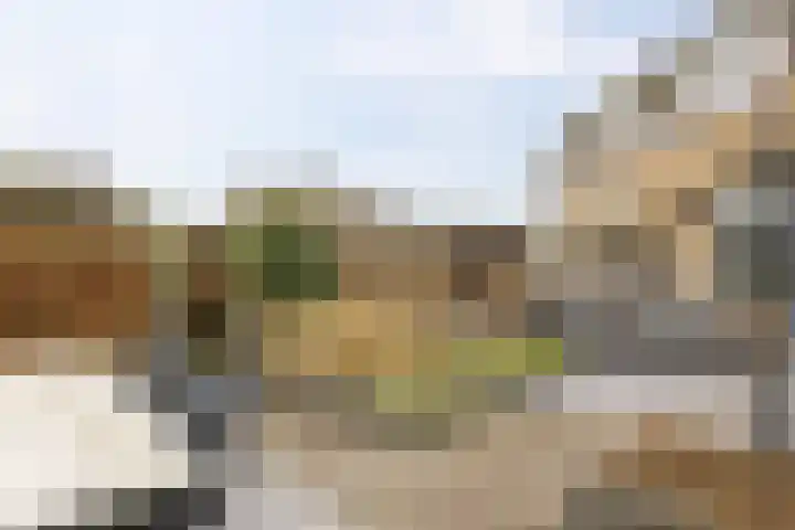 Reidkampen 7 Zuidhorn thumbnail 41