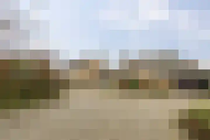 Reidkampen 7 Zuidhorn thumbnail 48