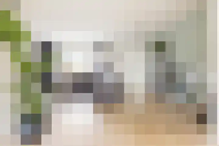 Reidkampen 7 Zuidhorn thumbnail 6