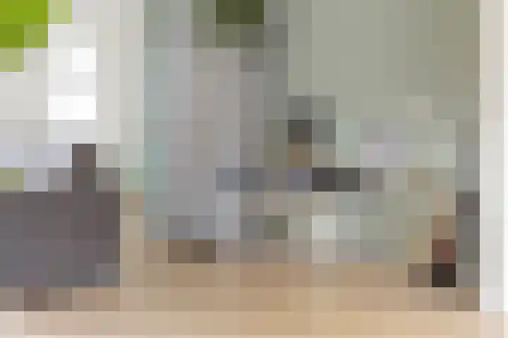Reidkampen 7 Zuidhorn thumbnail 7