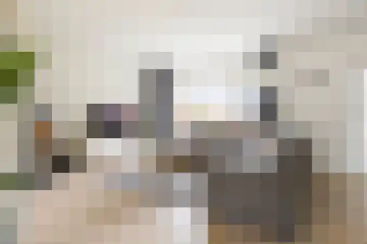 Reidkampen 7 Zuidhorn thumbnail 8