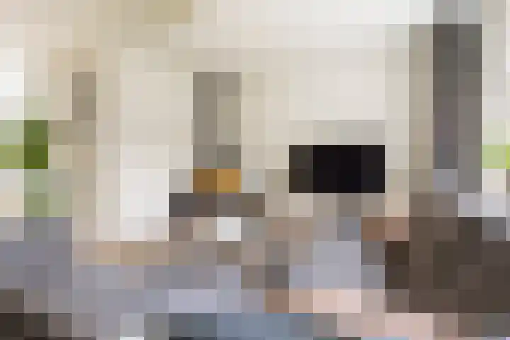 Reidkampen 7 Zuidhorn thumbnail 9