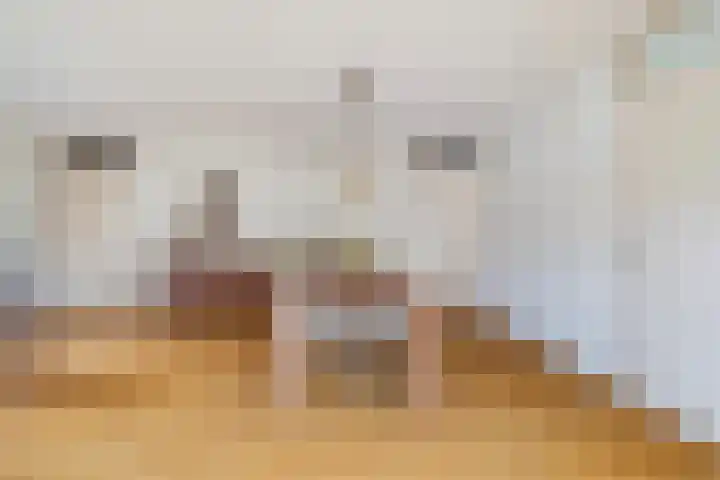 Reidklyster 40 Hurdegaryp thumbnail 12