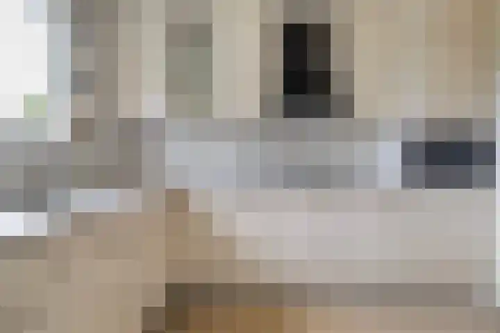Reidklyster 40 Hurdegaryp thumbnail 15