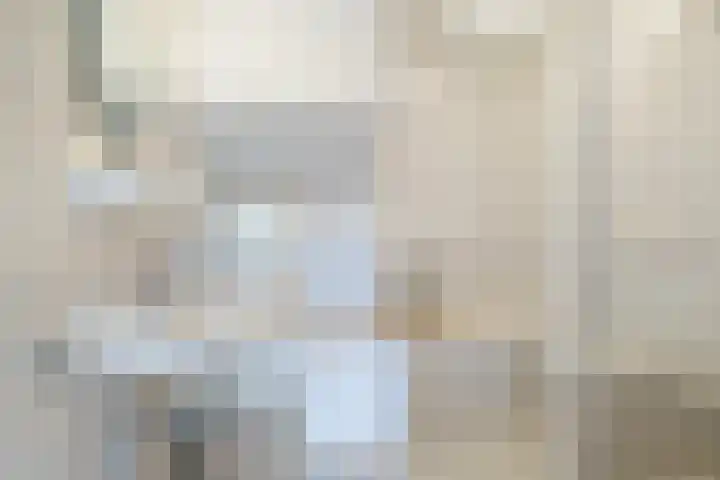 Reidklyster 40 Hurdegaryp thumbnail 21