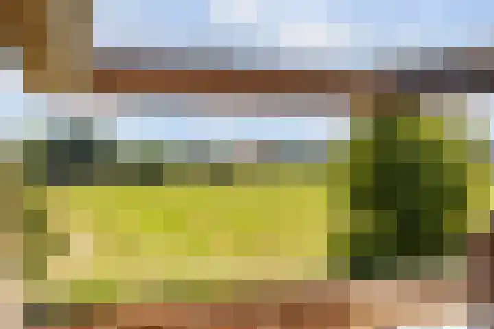 Reidklyster 40 Hurdegaryp thumbnail 30