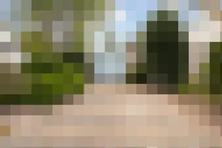 Reidklyster 40 Hurdegaryp thumbnail 31