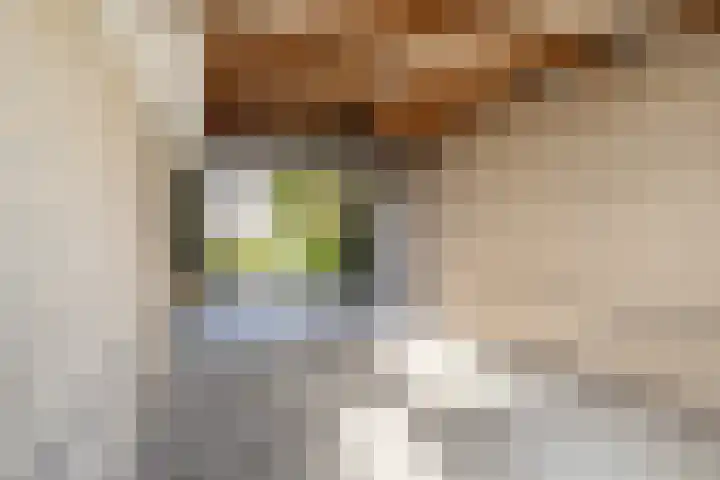 Reidklyster 40 Hurdegaryp thumbnail 33