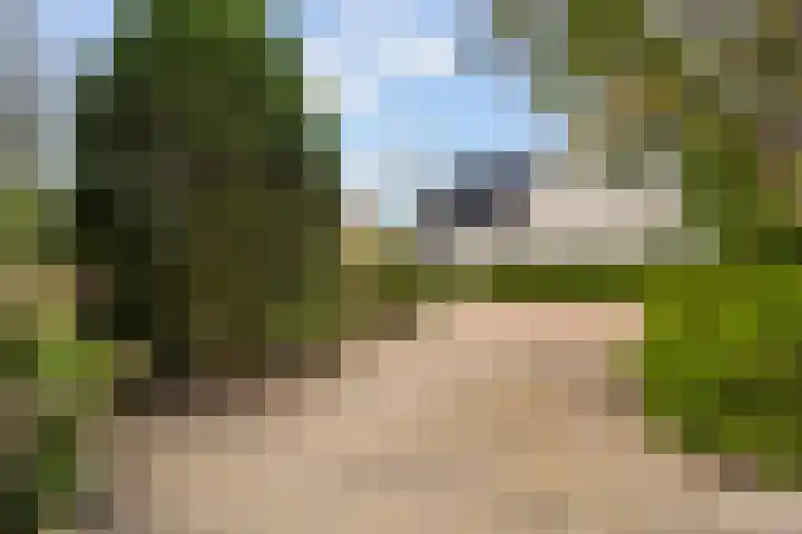 Reidklyster 40 Hurdegaryp thumbnail 34
