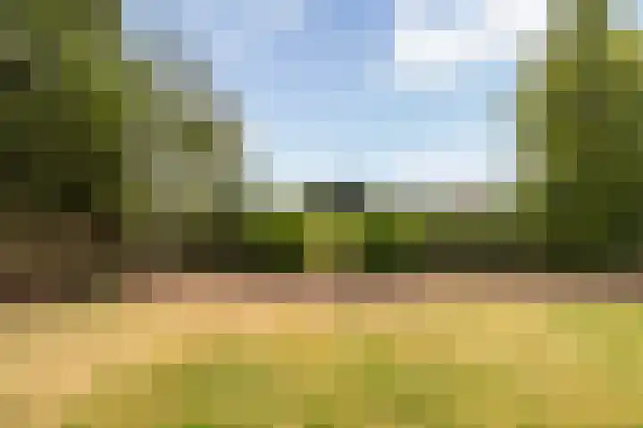 Reidklyster 40 Hurdegaryp thumbnail 36