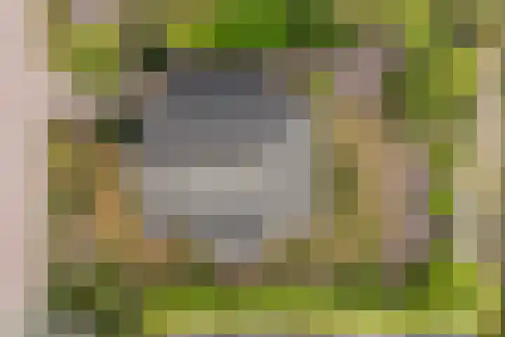 Reidklyster 40 Hurdegaryp thumbnail 38