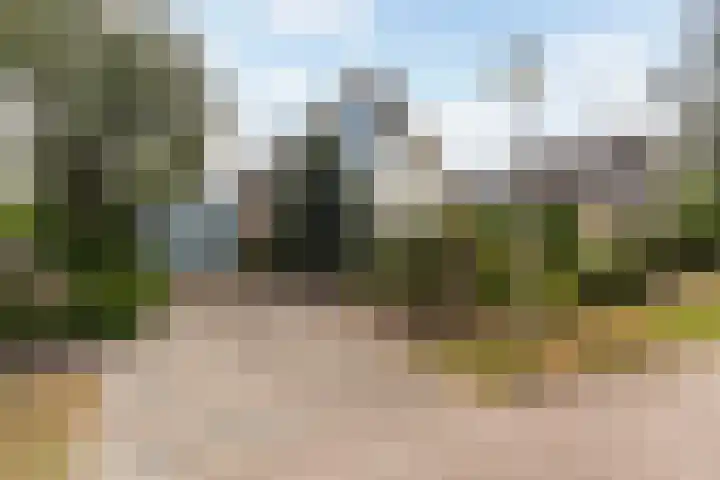 Reidklyster 40 Hurdegaryp thumbnail 39