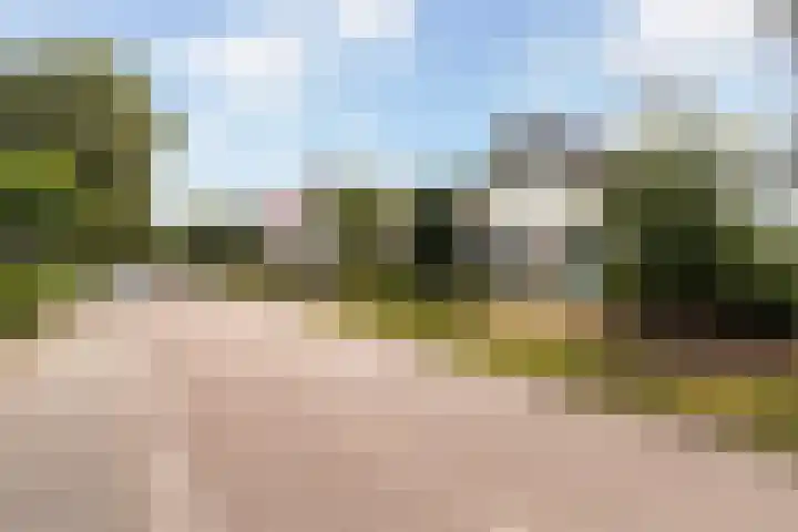 Reidklyster 40 Hurdegaryp thumbnail 40