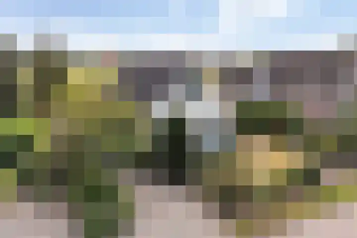 Reidklyster 40 Hurdegaryp thumbnail 41