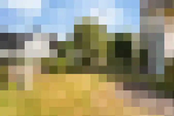 Reidklyster 40 Hurdegaryp thumbnail 42