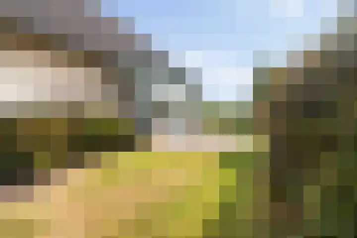 Reidklyster 40 Hurdegaryp thumbnail 43