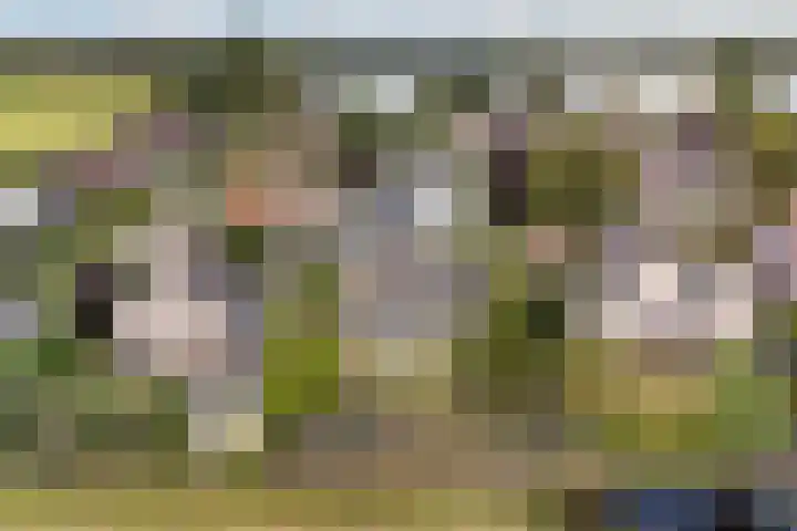 Reidklyster 40 Hurdegaryp thumbnail 44