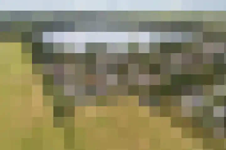 Reidklyster 40 Hurdegaryp thumbnail 45