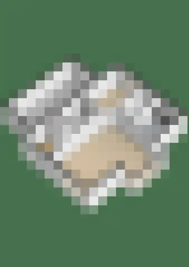 Reidklyster 40 Hurdegaryp thumbnail 47