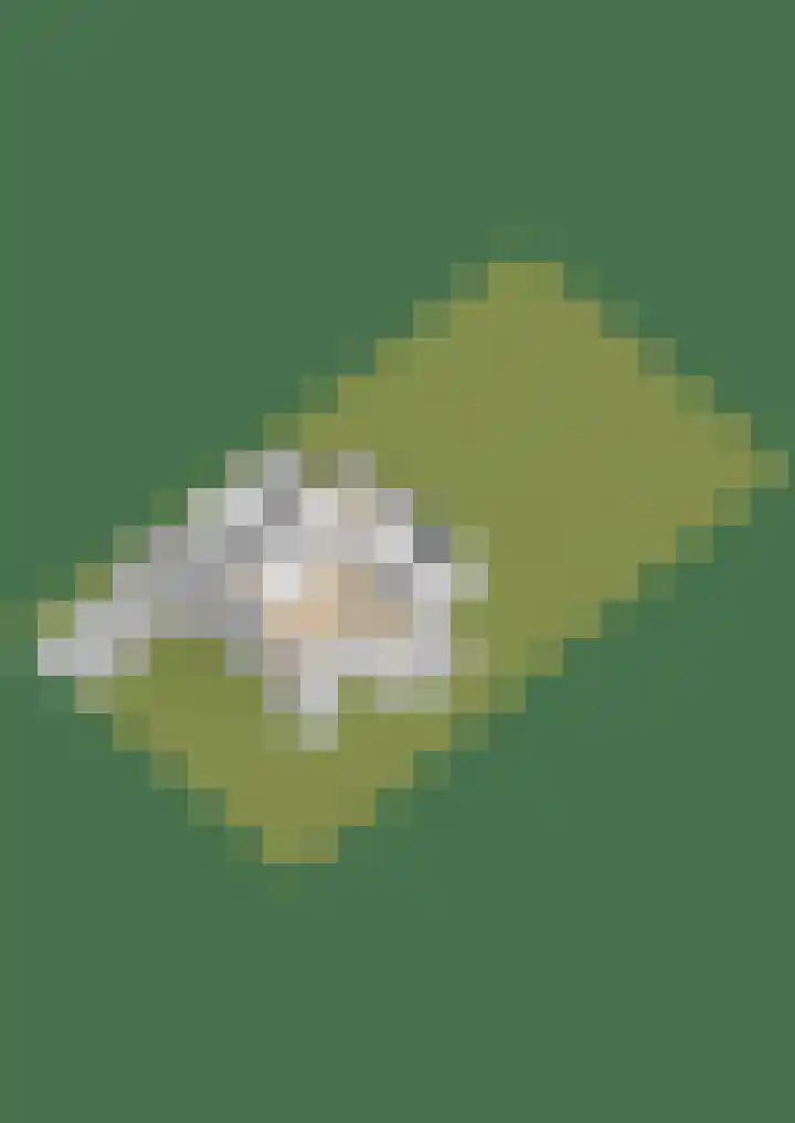 Reidklyster 40 Hurdegaryp thumbnail 51