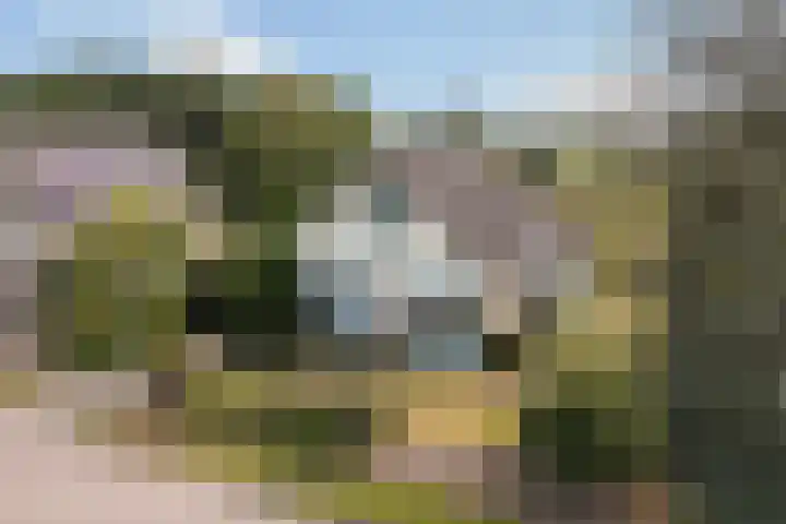 Reidklyster 40 Hurdegaryp thumbnail 52