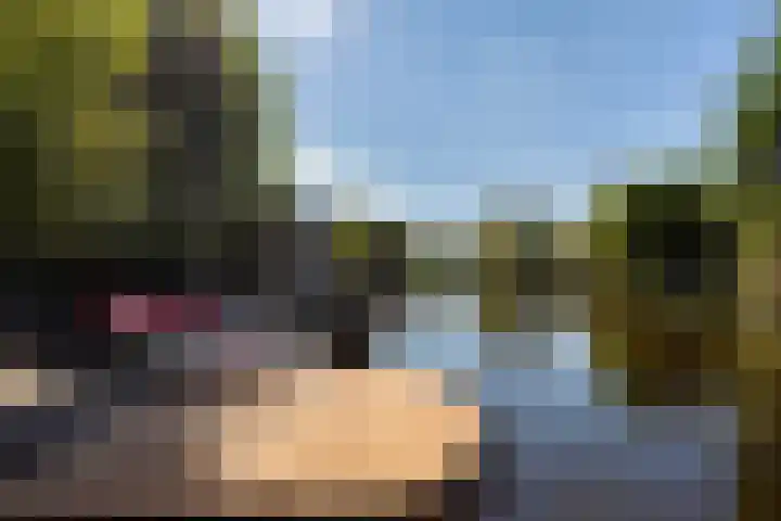 Reidkraach 8 Oudehaske thumbnail 11