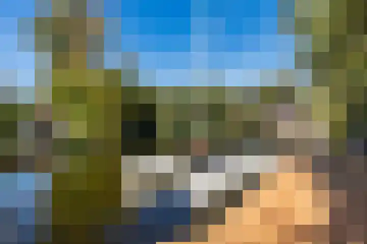 Reidkraach 8 Oudehaske thumbnail 14
