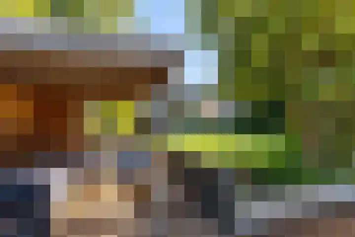 Reidkraach 8 Oudehaske thumbnail 17