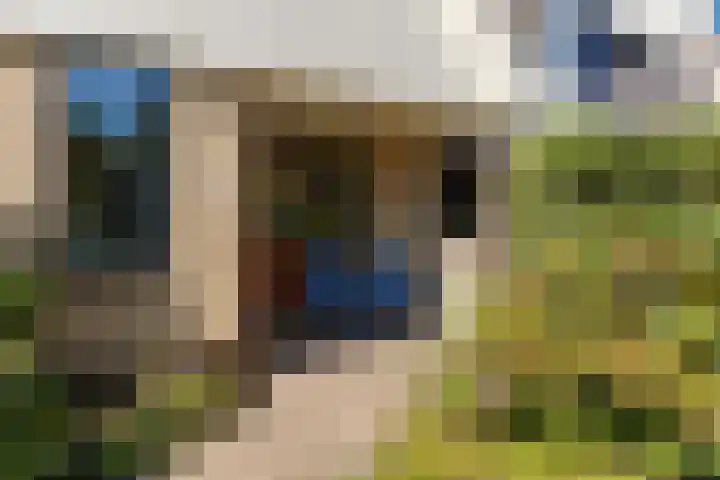 Reidkraach 8 Oudehaske thumbnail 20
