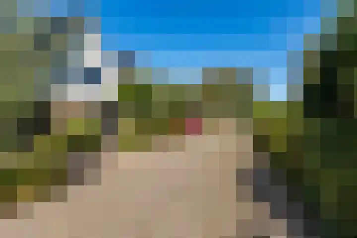 Reidkraach 8 Oudehaske thumbnail 21