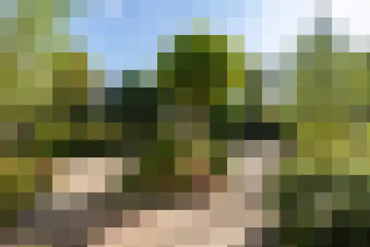 Reidkraach 8 Oudehaske thumbnail 22