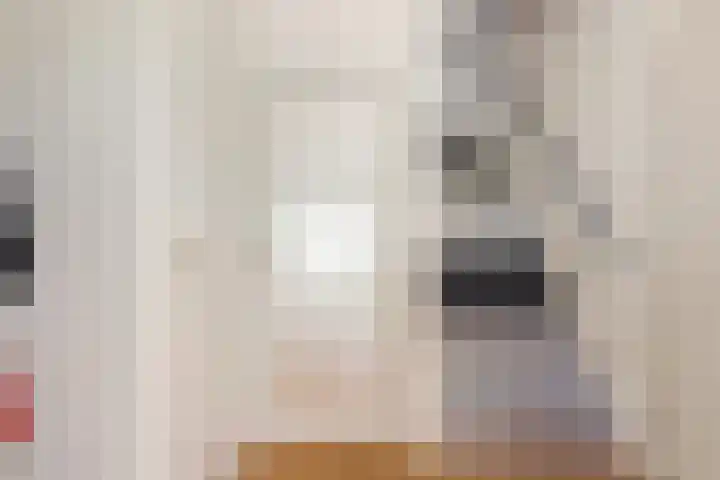 Reidkraach 8 Oudehaske thumbnail 24