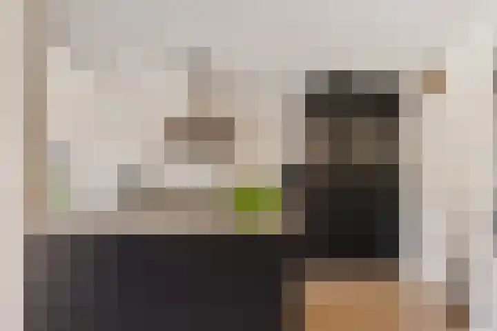 Reidkraach 8 Oudehaske thumbnail 33
