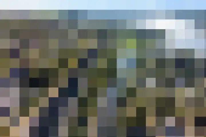 Reidkraach 8 Oudehaske thumbnail 4