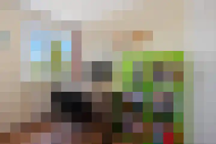 Reidkraach 8 Oudehaske thumbnail 44