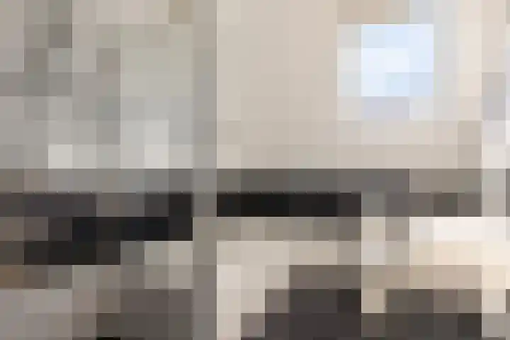 Reidkraach 8 Oudehaske thumbnail 46