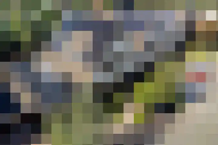 Reidkraach 8 Oudehaske thumbnail 50