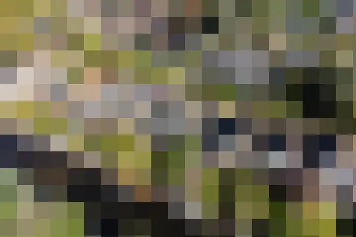 Reidkraach 8 Oudehaske thumbnail 8
