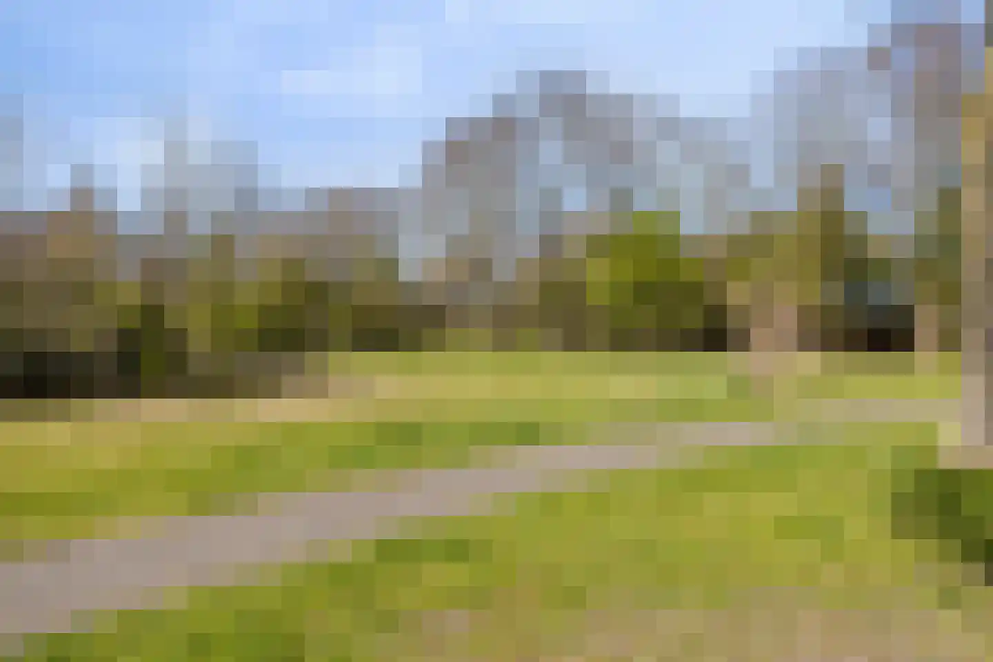 Reidlânswei 35 Hurdegaryp thumbnail 33