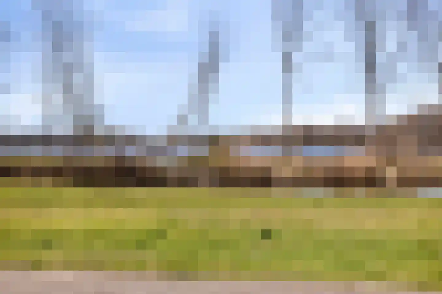 Reidlânswei 35 Hurdegaryp thumbnail 34