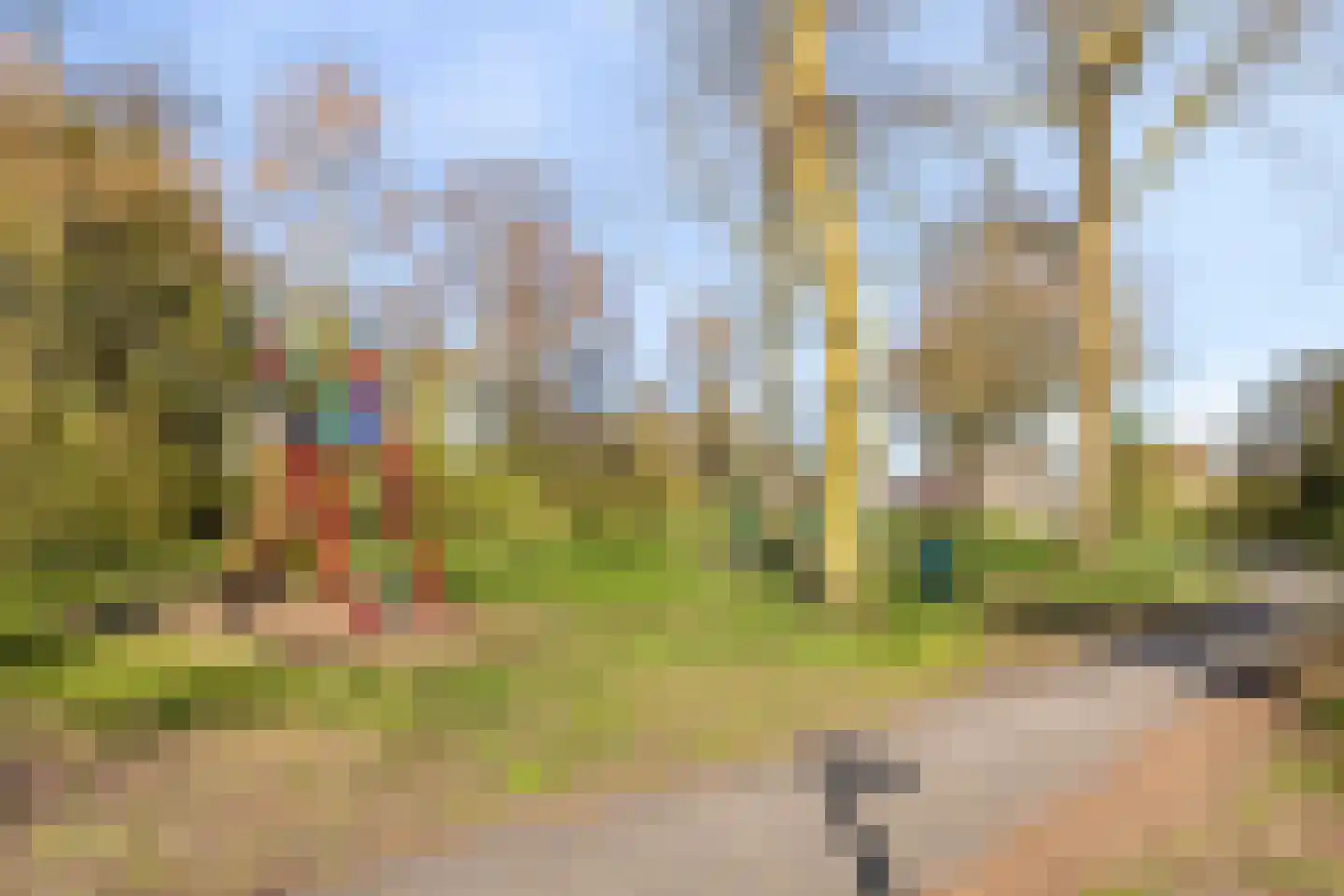 Reidlânswei 35 Hurdegaryp thumbnail 35