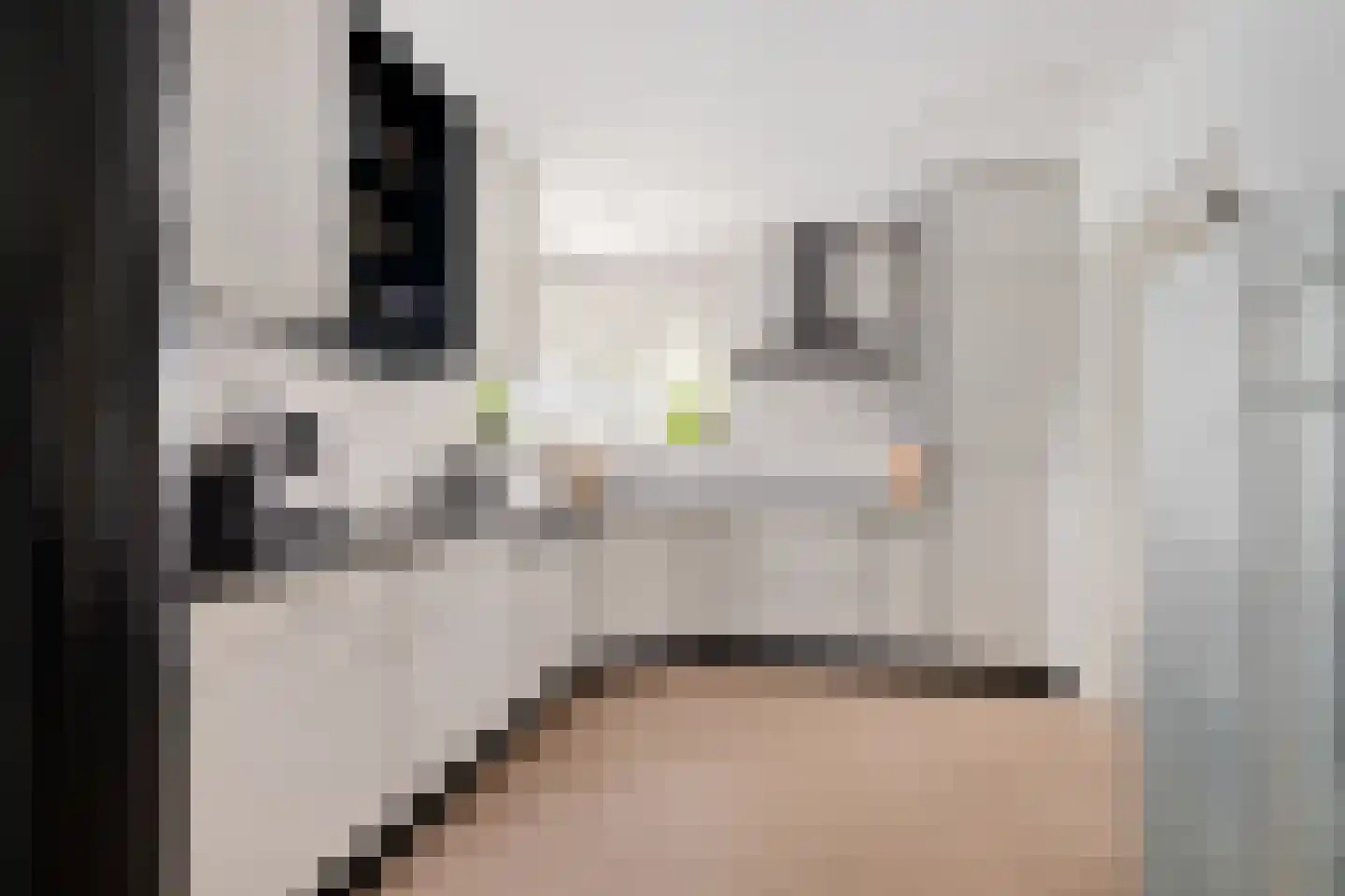 Reidlânswei 48 Hurdegaryp thumbnail 14