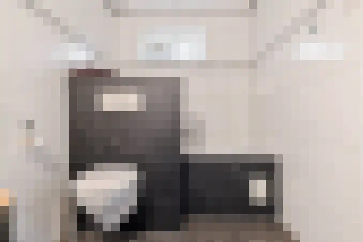 Reidlânswei 48 Hurdegaryp thumbnail 22