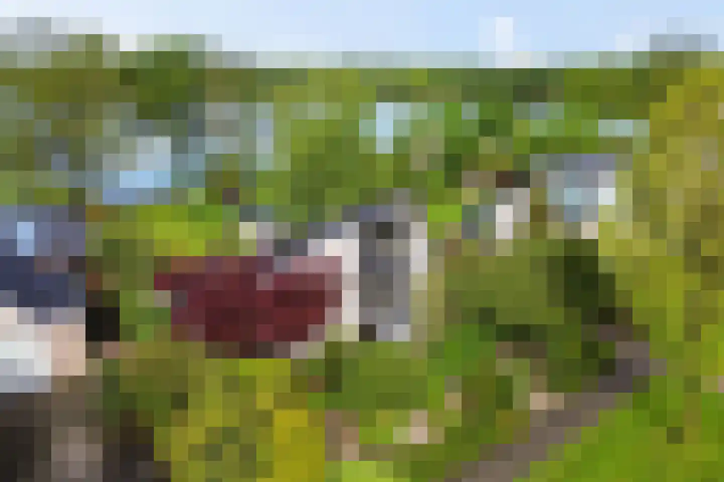 Reidlânswei 48 Hurdegaryp thumbnail 35